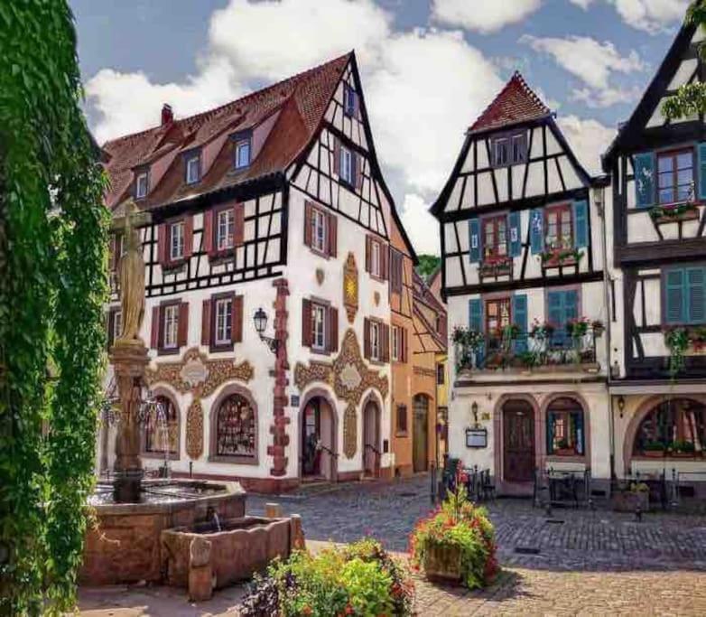 Studio Cosy Kaysersberg Centre Zewnętrze zdjęcie