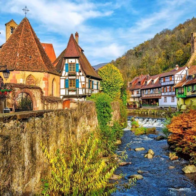 Studio Cosy Kaysersberg Centre Zewnętrze zdjęcie